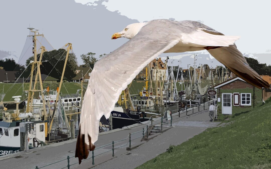 Ostfriesland_2014_Fotos  W.K.