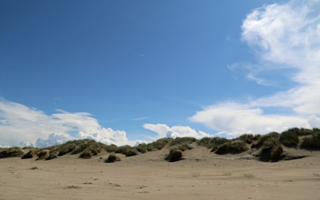 Ostfriesland_2014_Foto12